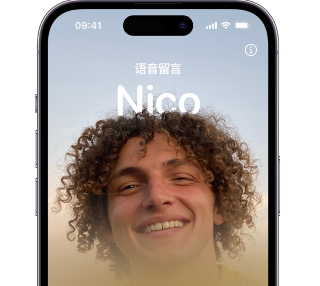 排浦镇苹果15服务站分享iPhone15实时语音留言开启方法 