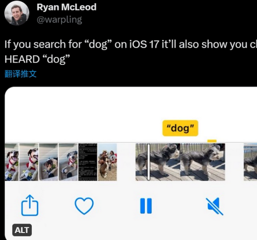 排浦镇apple维修店分享通过关键字搜索iPhone视频内声音 
