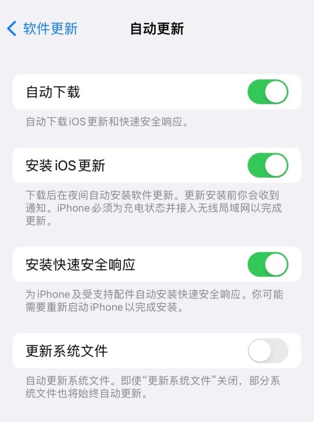 排浦镇苹果手机维修分享苹果快速安全响应更新有必要安装吗 