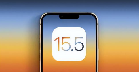 排浦镇苹果手机维修分享iOS15.5 RC版升级建议 