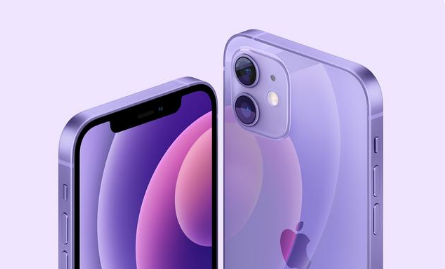排浦镇苹果手机维修分享紫色版iPhone 12有什么技术亮点 